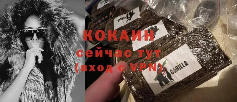 Cocaine FishScale  купить наркотики сайты  Рыльск 